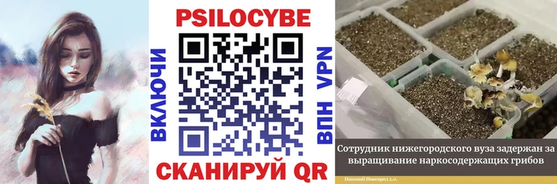 Галлюциногенные грибы Cubensis  Волгореченск 