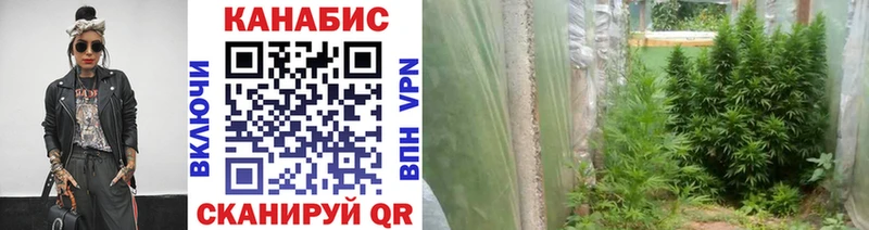 купить наркотик  Волгореченск  Канабис OG Kush 